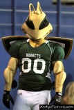 Sacramento State Hornets mascot