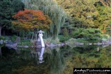 Japanese Garden of Buffalo