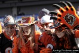 Cincinnati Bengals fans