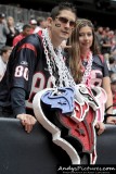 Houston Texans fans