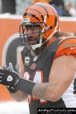 Cincinnati Bengals DT Domata Peko