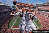 Cincinnati Bengals QB Andy Dalton