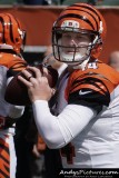 Cincinnati Bengals QB Andy Dalton