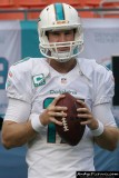Miami Dolphins QB Ryan Tannehill