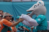 Miami Dolphins mascot TD