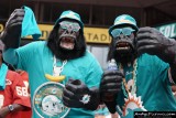 Miami Dolphins fans