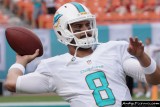 Miami Dolphins QB Matt Moore