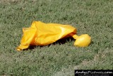 IMG_0062.jpg