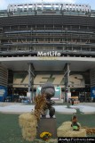 Metlife Stadium - East Rutherford, NJ