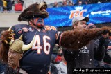 Chicago Bears fan