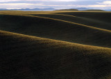 Palouse-4