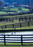 Farm-Fences-with-Pond