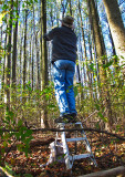 W-photographing-Poplars-in-Fall