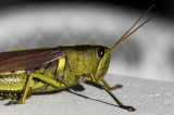 1024DSC04756.jpg
