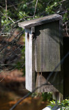 1024 Bird House.jpg