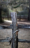 1024 fence post Middleton.jpg