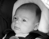 pb10-12-14-057.jpg