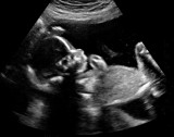 pb02-01-15-011.jpg