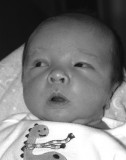 pb02-15-15-122.jpg