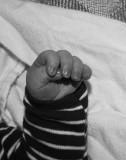 pb02-27-16-49.jpg