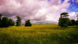 Botanical Gardens, Haverfordwest