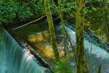 Holland Creek Falls