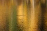 golden pond