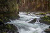  Cowichan River.jpg