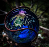 Garden Globe Reflection