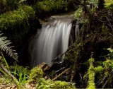 Small Stream Waterfall