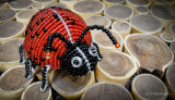 Large Ladybug