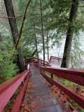 Wilma Harvey<br>Holt creek stairs