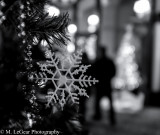 Mark LeGear<br>Snowflake Silhouette