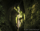 Zosia Miller<br> The Creeks Cavern