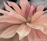 Racine Erland<br>Flower Petals