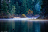 Tom Murchie<br>Early morning mist on Spectacle Lake
