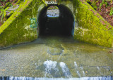 Don Browm<br>Goldstream Tunnel
