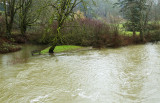 Don Brown<br>Koksilah River Dec. 13, 2015