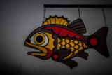 carl erland <br>Foggy Fish of the Rock Cod Cafe