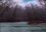 Ian Faulks<br>Koksilah River