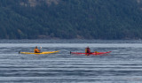 Lois DeEll<br>Saturday Kayakers