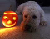 Rachel Penney<br>What Quinn had to do for Halloween Treats