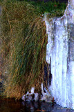 Leah Jansen<br>Frozen Falls
