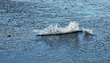 Willie Harvie<br> sea ice sculpture