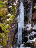 William Labb<br>Icicles at the Falls