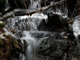 Gerry Breckon<br>February 2017 Evening Favourites<br>Theme: Waterfalls<br>January Ice Water - 1st