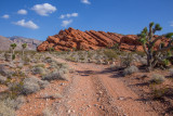 Gold Butte