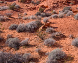 Valley of Fire