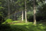 Rainbow in the Yard
