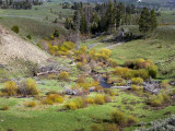 B009816.jpg